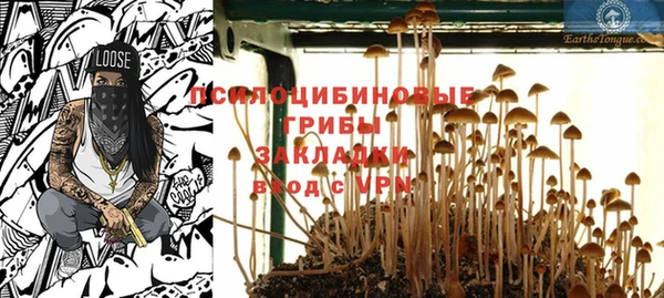 гидра Аркадак