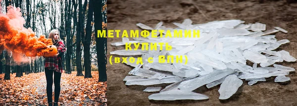 гидра Аркадак