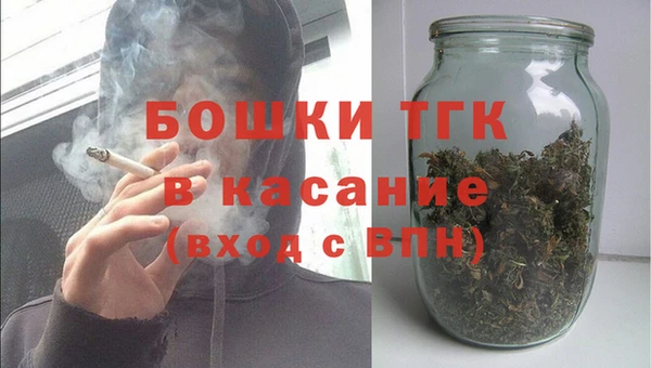 гидра Аркадак
