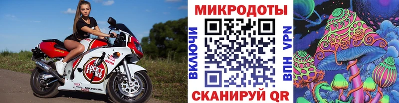 магазин    Тутаев  Псилоцибиновые грибы прущие грибы 